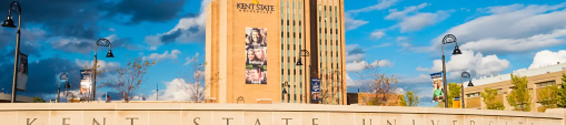 School Library Media K-12 - M.L.I.S.